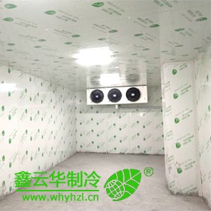 湖北醫(yī)療冷庫