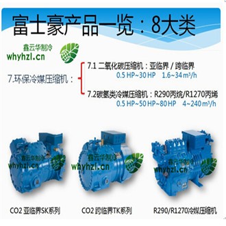 湖北環(huán)保冷媒壓縮機(jī)
